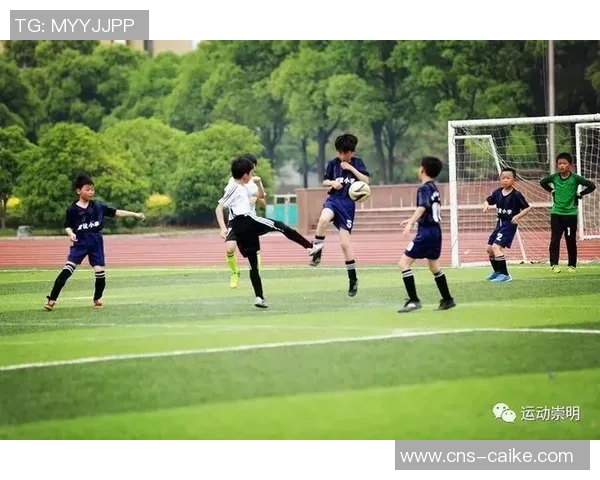 热血青春与梦想交织电视剧足球带你领略绿茵场上的激情与奋斗